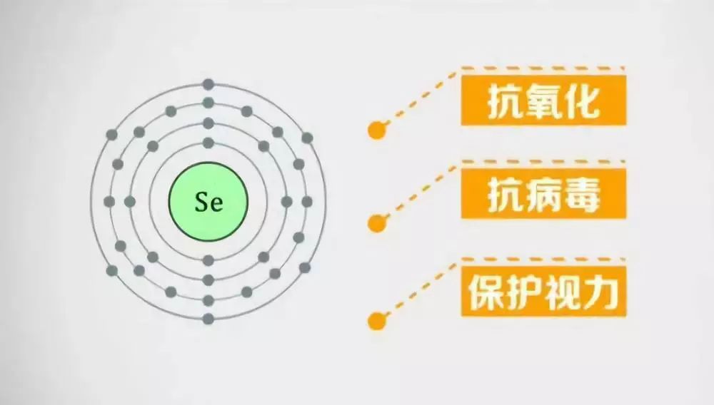 什么叫富硒鸡蛋