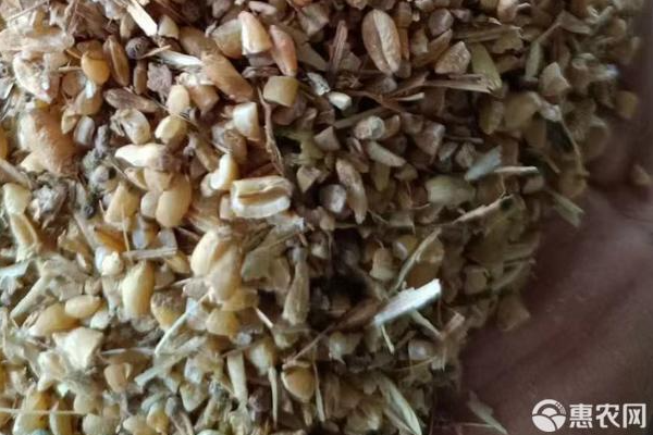 富硒小麦多少钱一斤