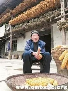 硒的美誉有哪些