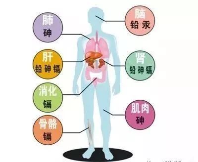 硒的美誉有哪些