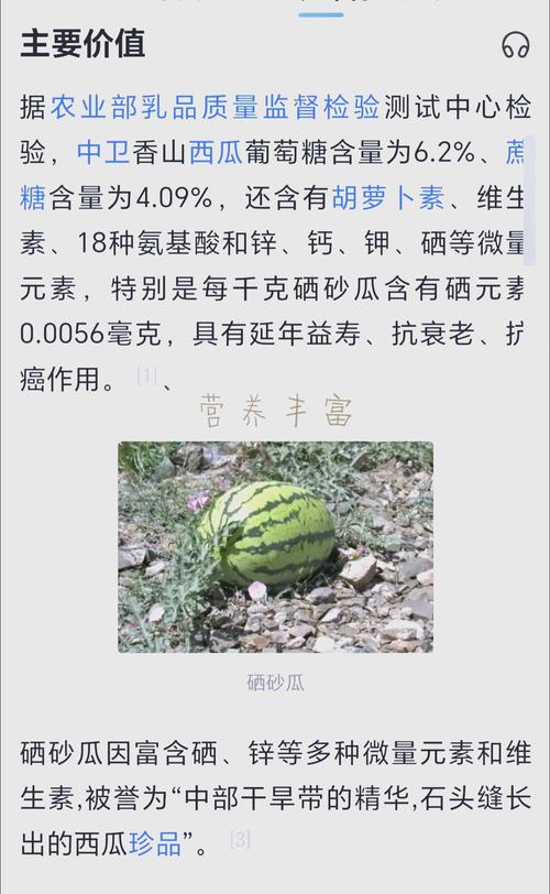 宁夏的硒砂瓜