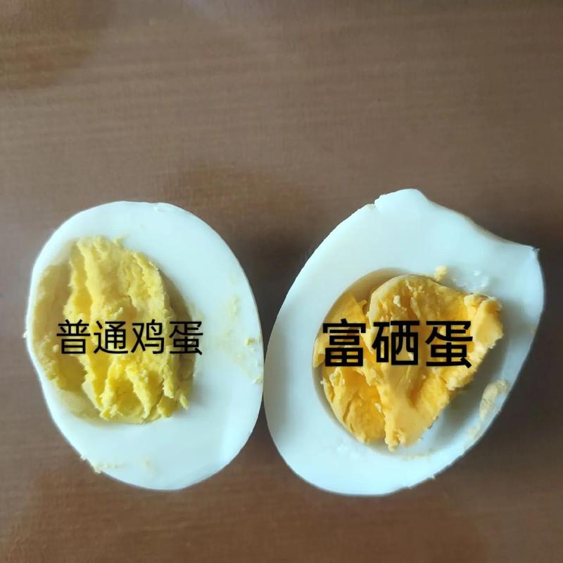 普通鸡蛋和富硒鸡蛋有什么区别