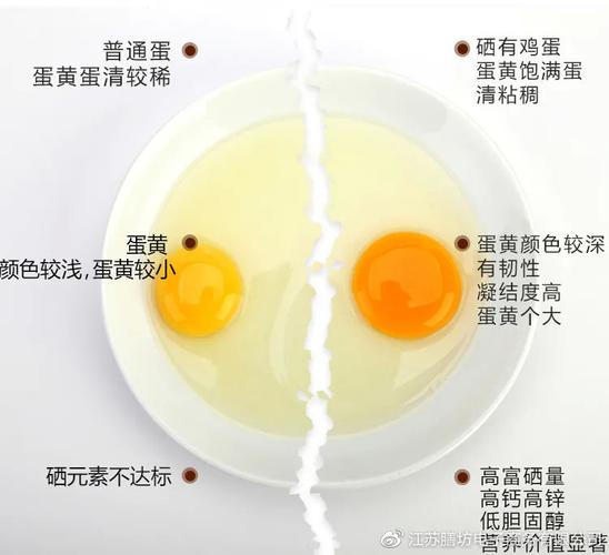 普通鸡蛋和富硒鸡蛋有什么区别
