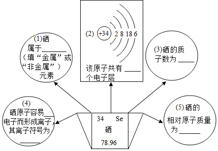 硒的最外层电子数