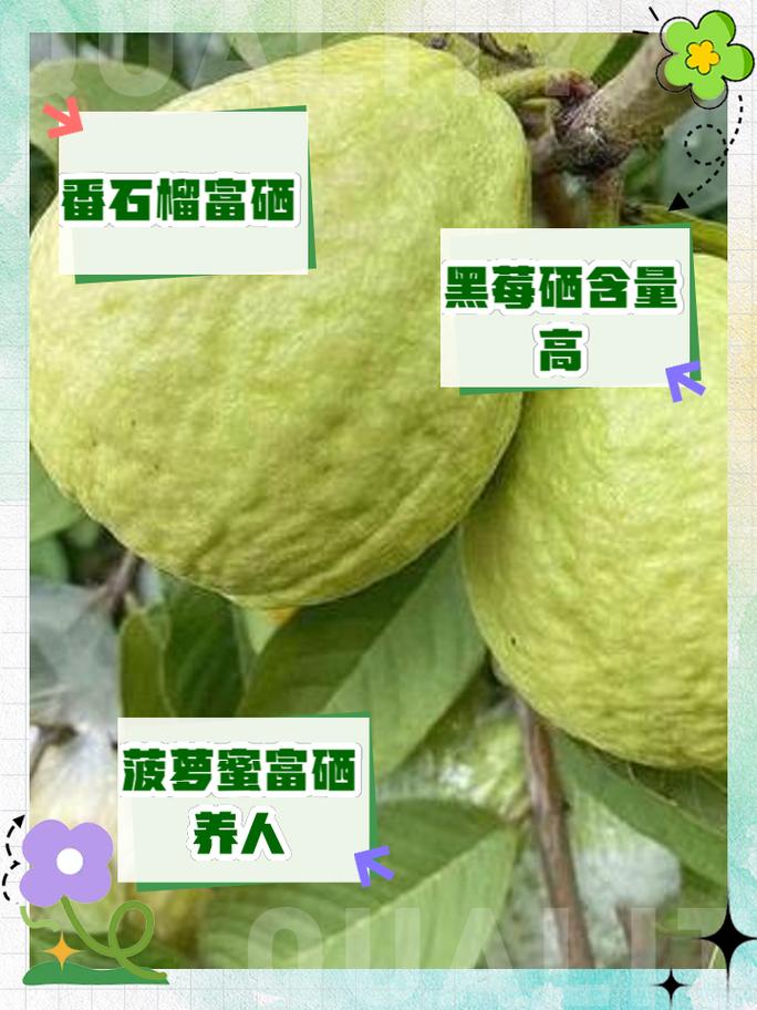 那种水果含硒高?