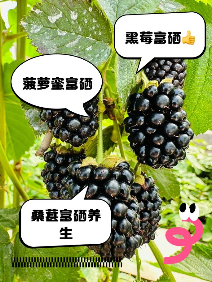 那种水果含硒高?