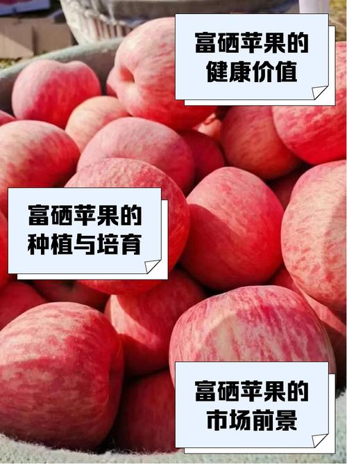 那种水果含硒高?