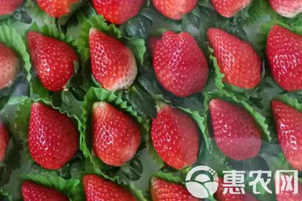 富硒产地排名