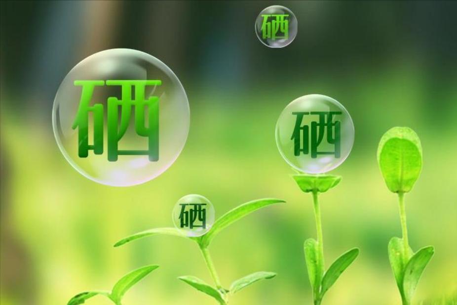 硒的六大生理功能