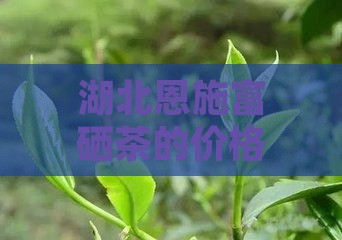 湖北恩施富硒茶的价格