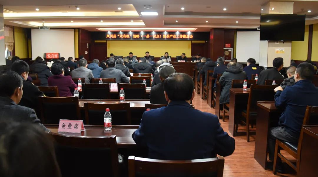 锌硒茶是什么茶