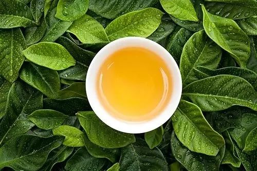含硒的茶叶有什么作用