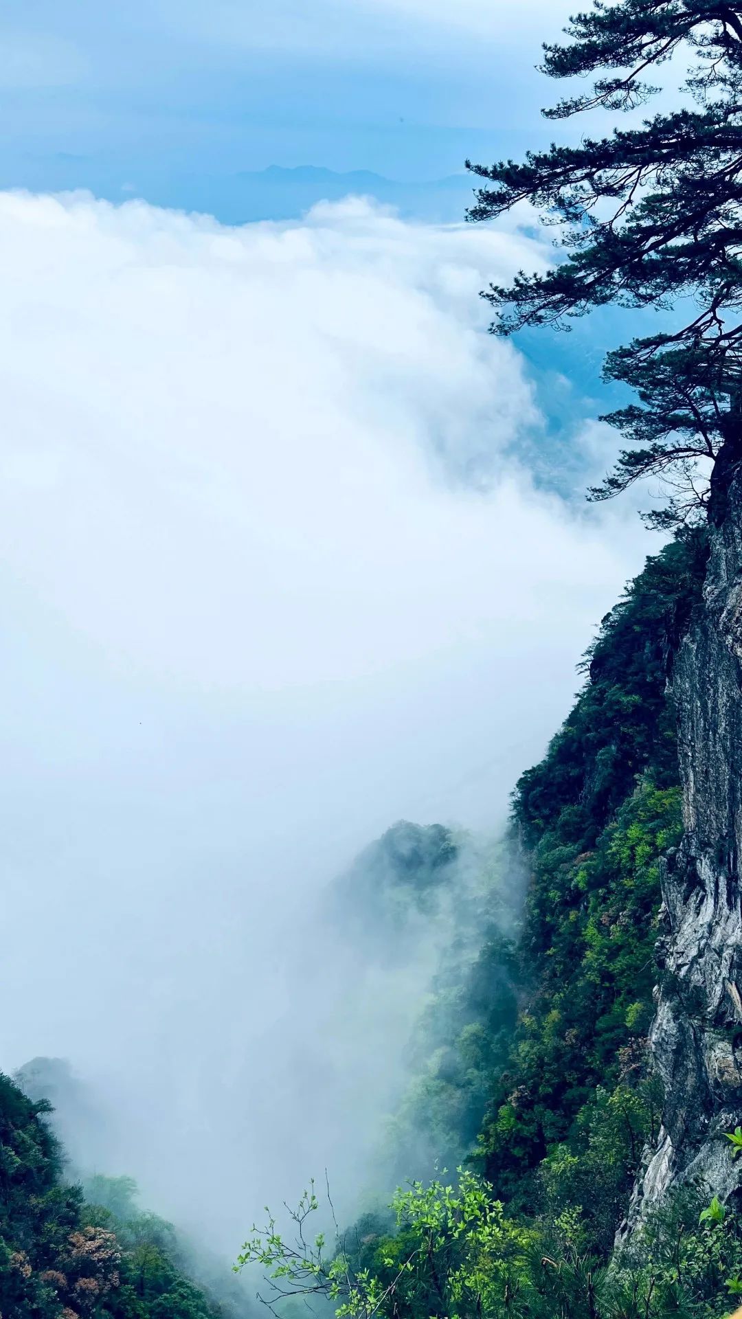 温汤富硒温泉