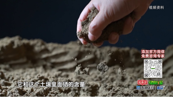 富硒的食品有哪些