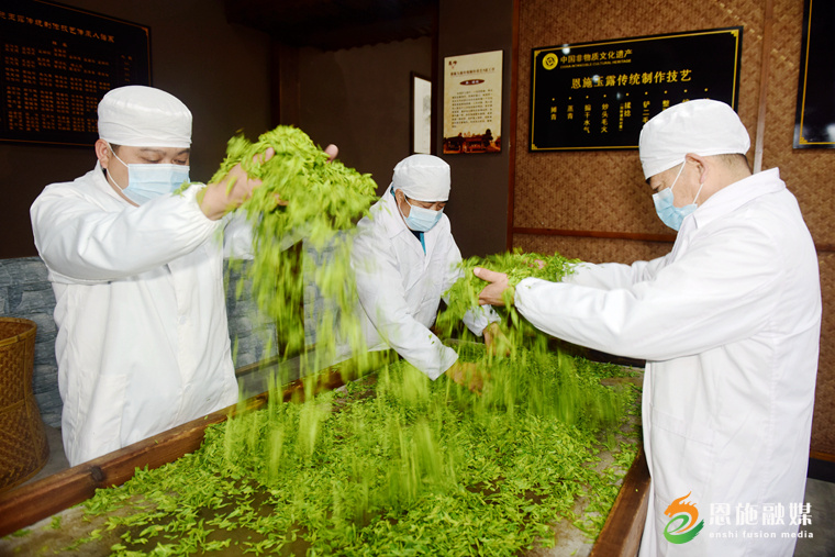 恩施玉露富硒茶的功效