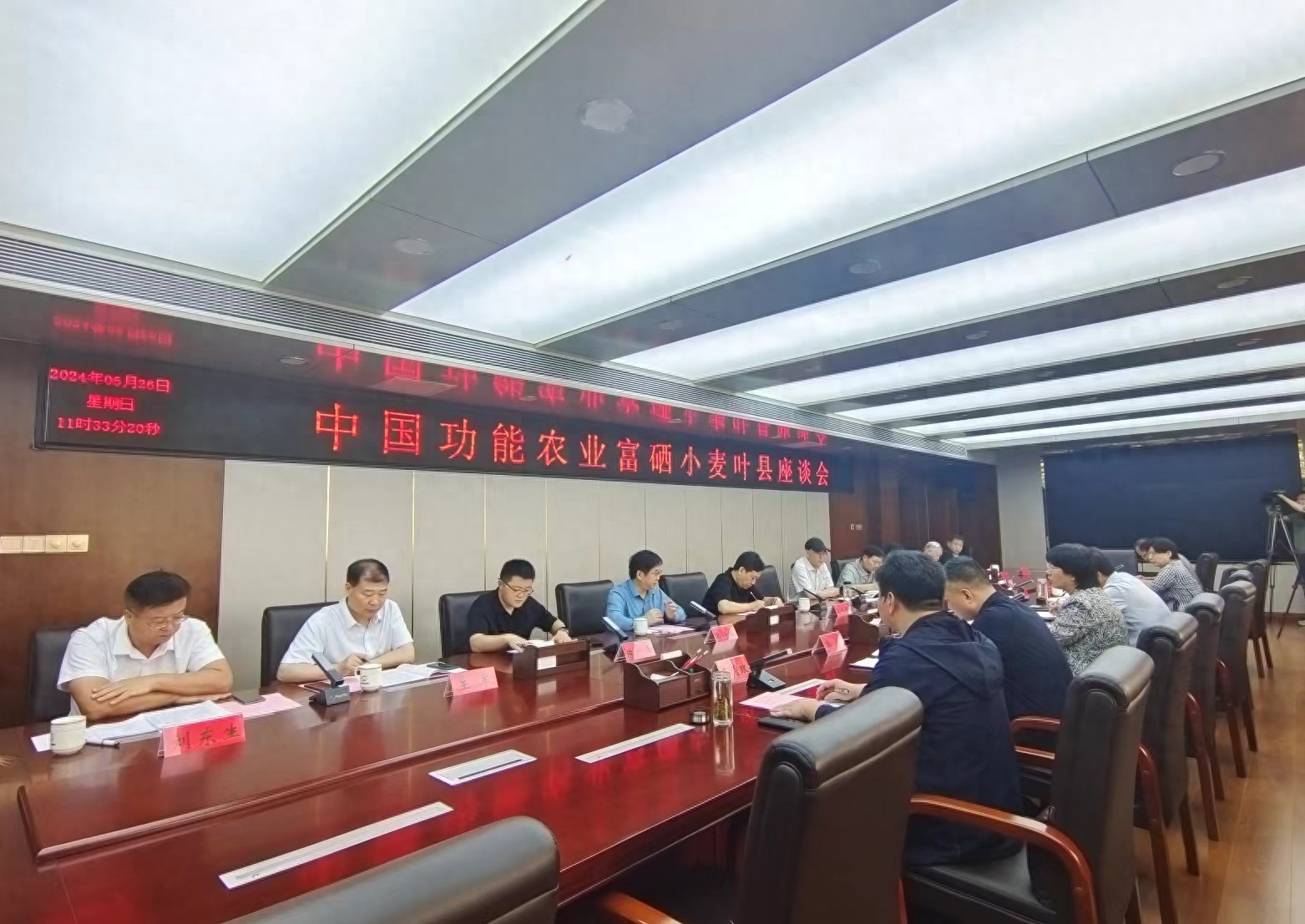 硒有什么功能