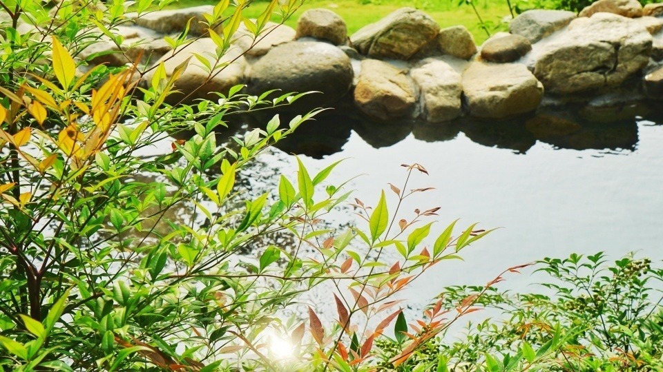 富硒泉矿泉水