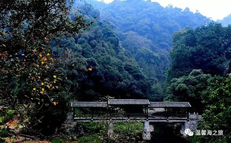 富硒第一村大山村
