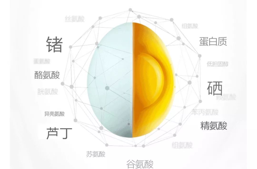 富硒鸡蛋营养价值