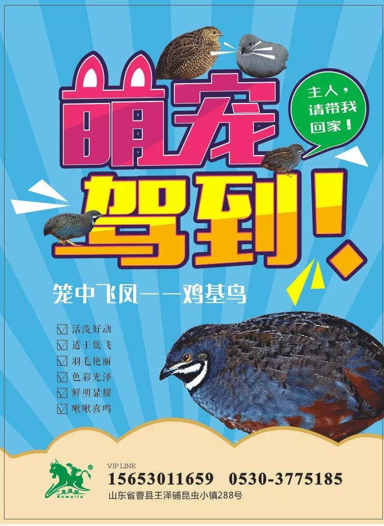 富硒鸡蛋营养价值