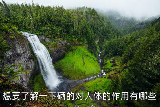 想要了解一下硒的对人体的作用有哪些