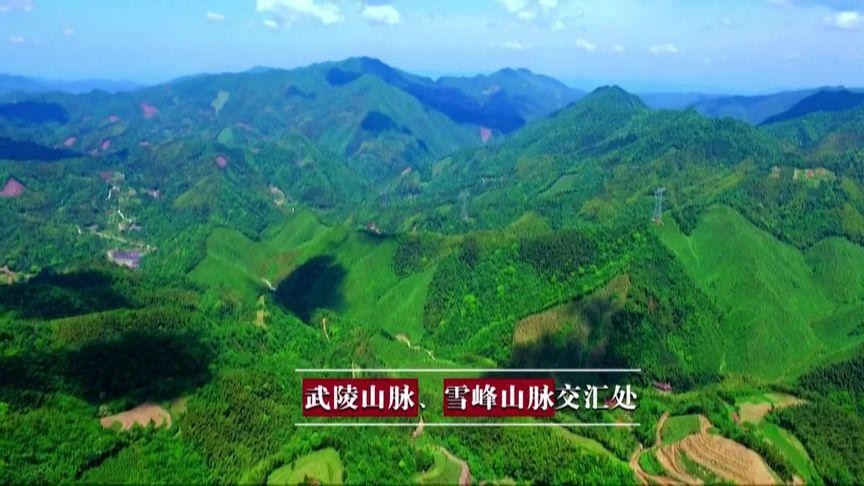 富硒地方有哪些