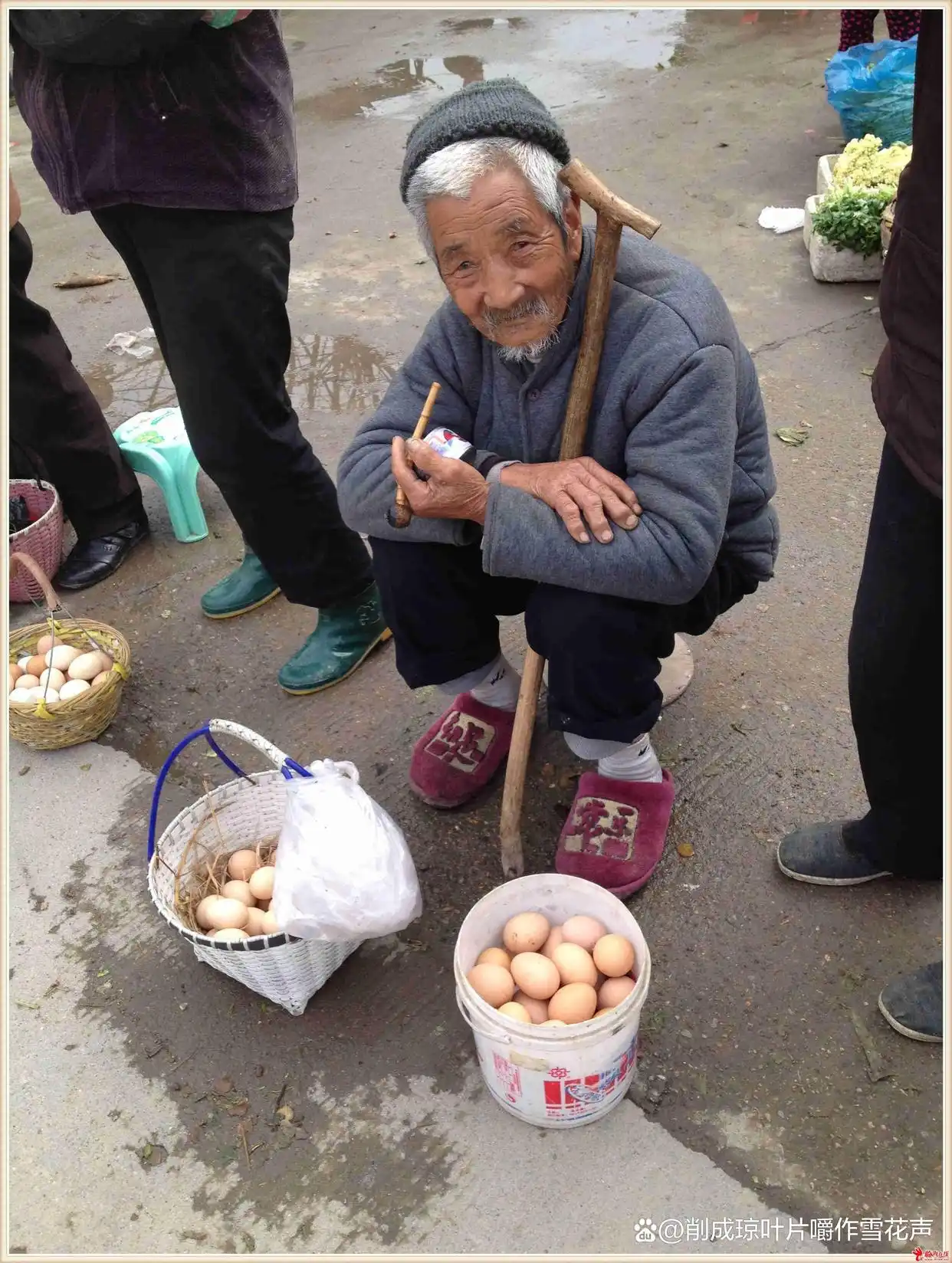 富硒鸡蛋产地在哪里