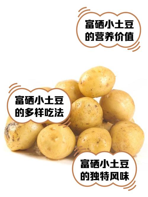 富硒土豆价格
