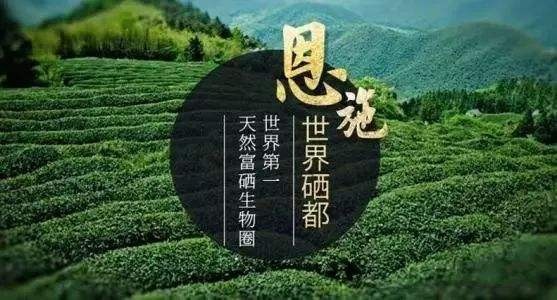 恩施富硒含量