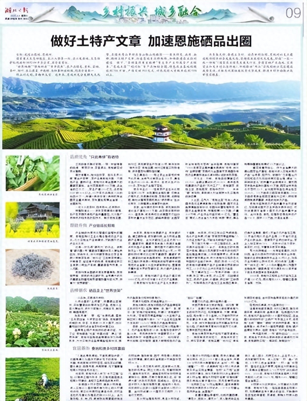 湖北恩施的硒怎么样
