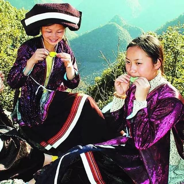 开阳富硒枇杷
