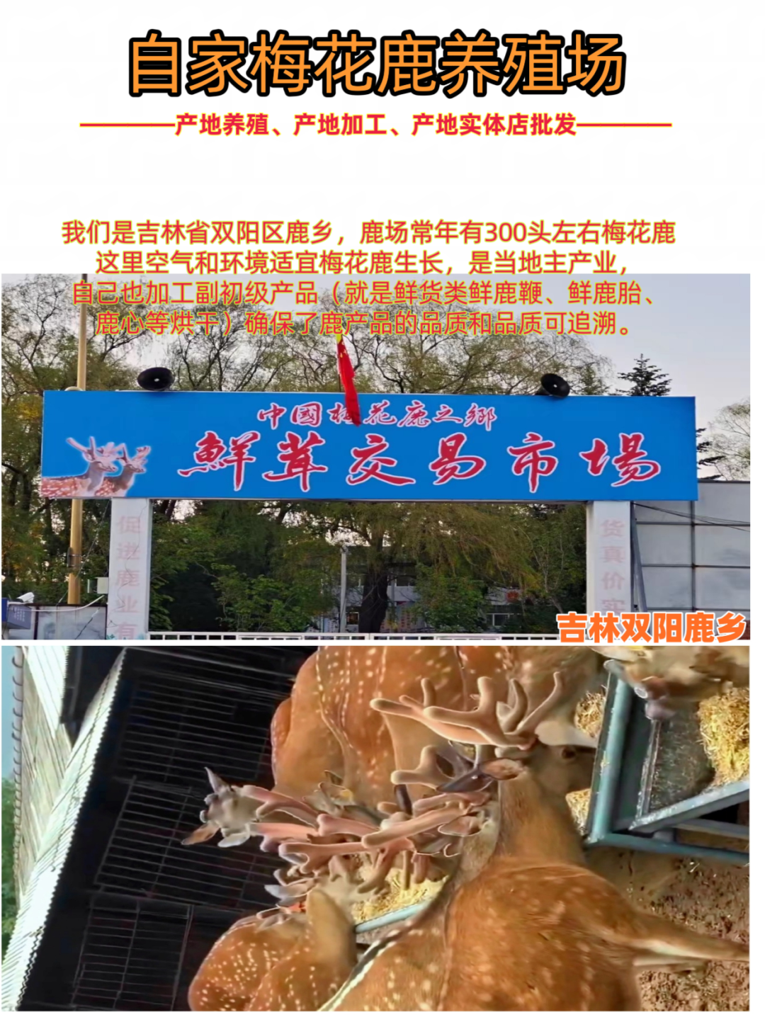 硒的价格是多少钱一斤