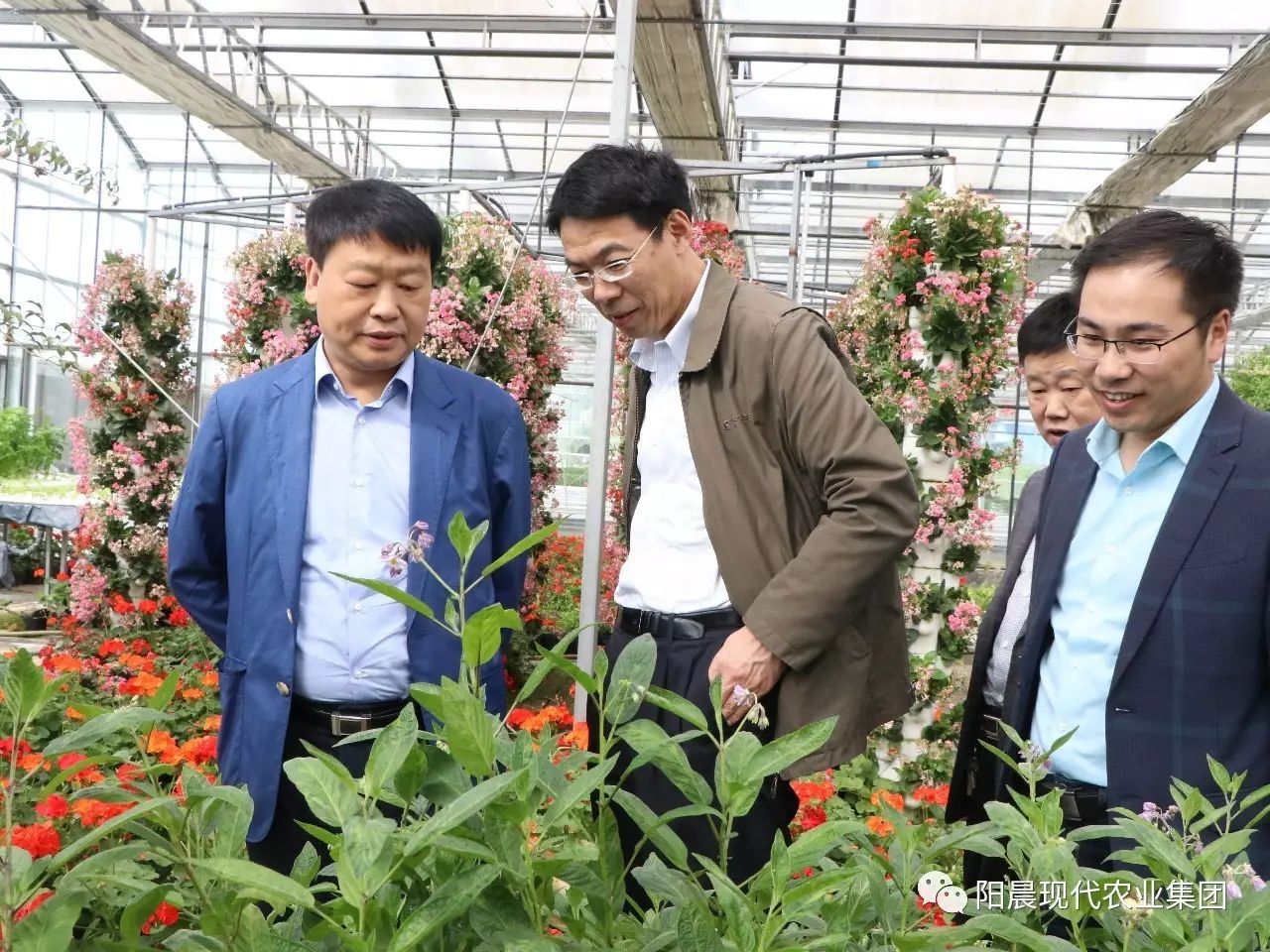 恩施富硒产品介绍