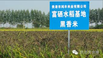 富硒产品是怎么种出来的