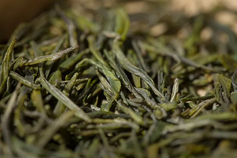 恩施玉露是富硒茶吗