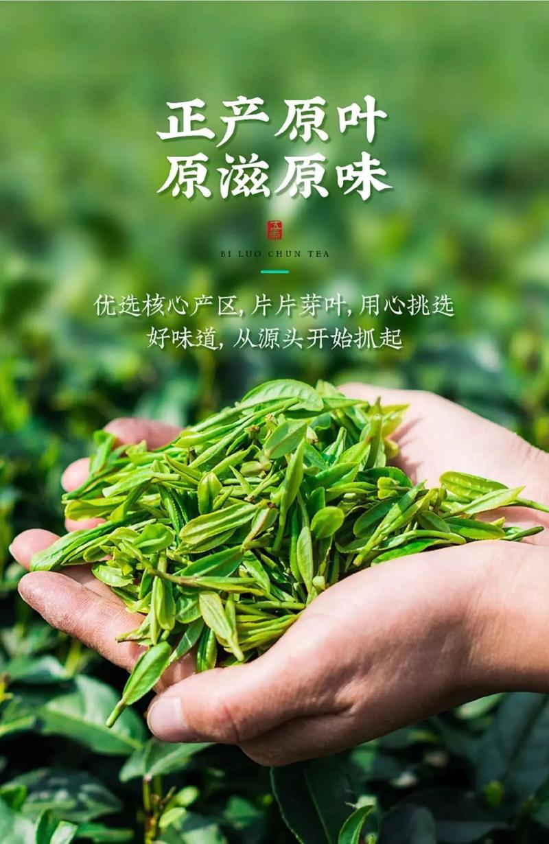恩施硒茶绿茶