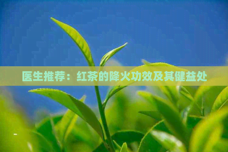 医生推荐：红茶的降火功效及其健益处