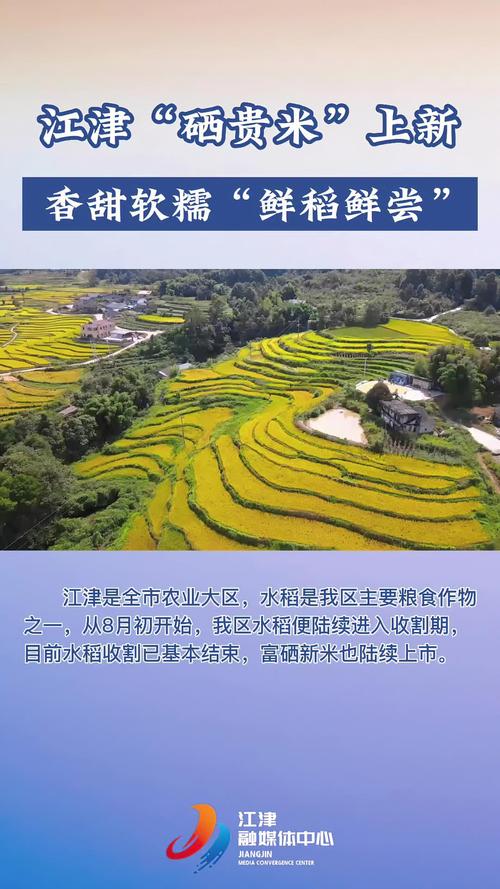 江津富硒产品