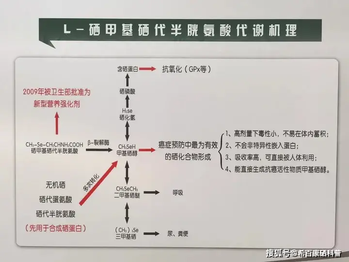 第三代有机硒
