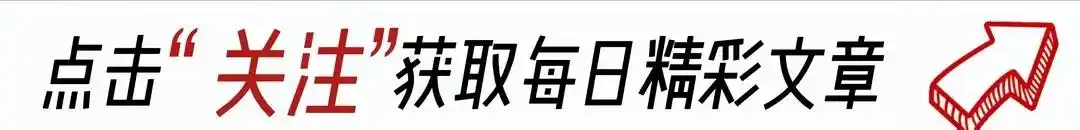 藤茶属于什么茶