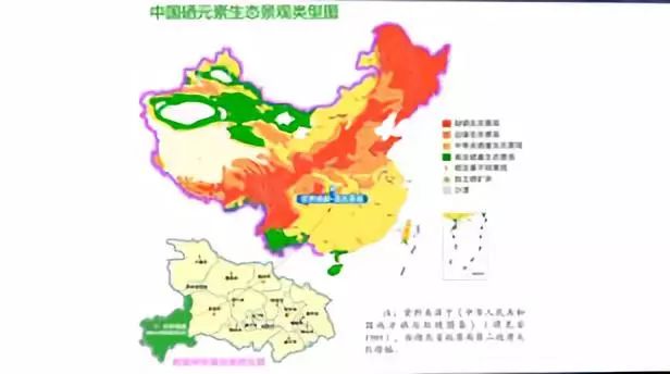 全民补硒刻不容缓