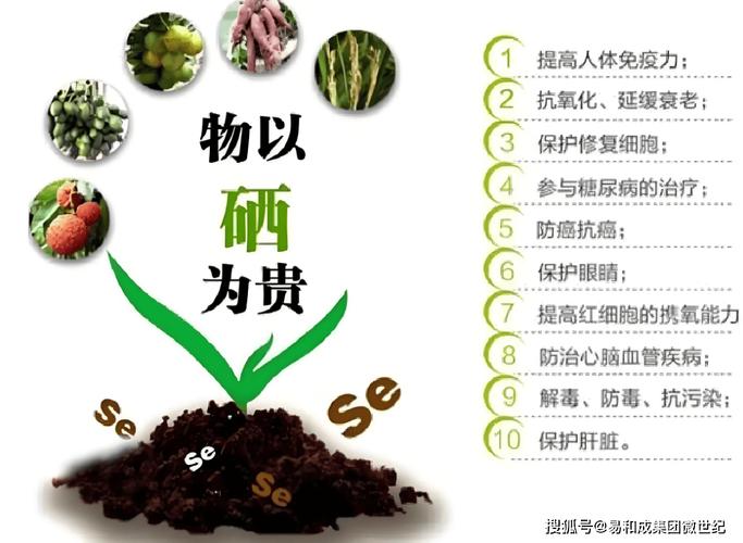 硒对眼睛的作用是补充黄斑吗