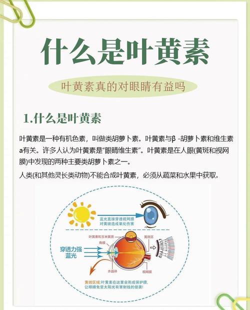 硒对眼睛的作用是补充黄斑吗