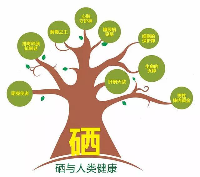 人体每天补硒多少微克