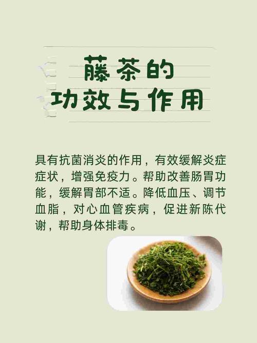 藤茶有什么好处