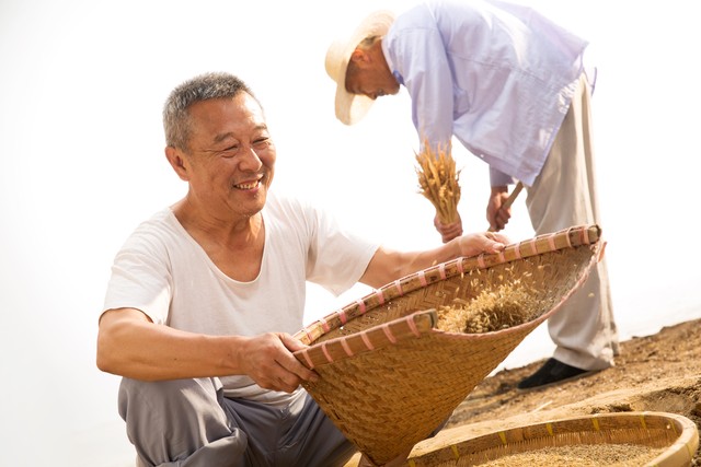 补硒有什么作用