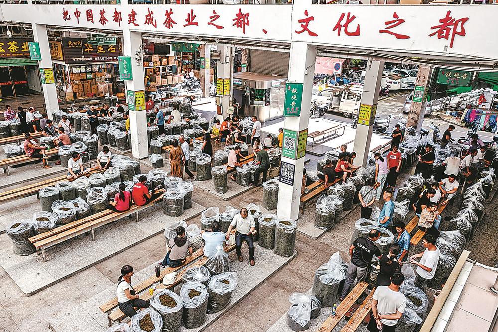 福建安溪茶叶