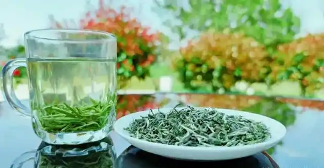 安康富硒茶陕茶一号