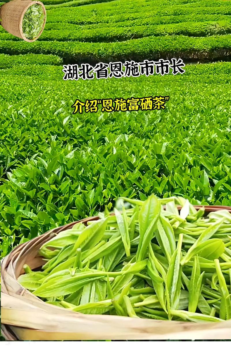 湖北恩施有什么茶