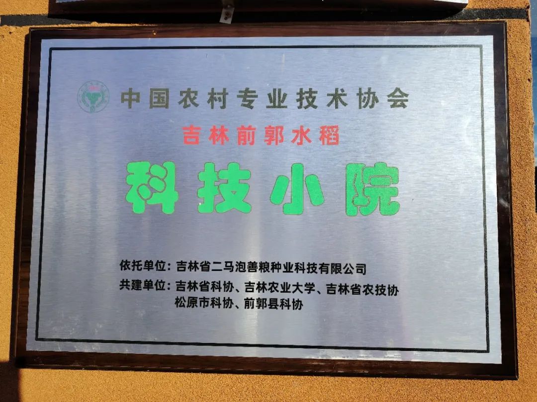 老年人补硒多少毫克